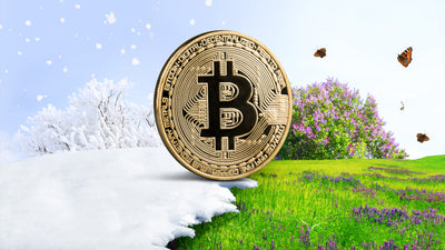 Is the Crypto Winter Over?