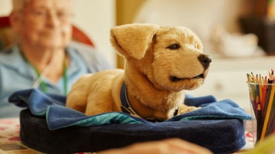 Meet Jennie: A Robotic Dog for ALZ and Dementia Patients